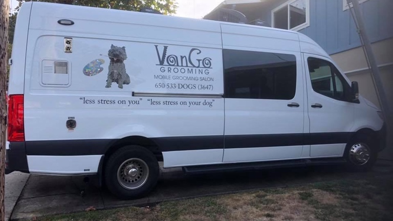 2019 Mercedes Benz 3500 Sprinter 