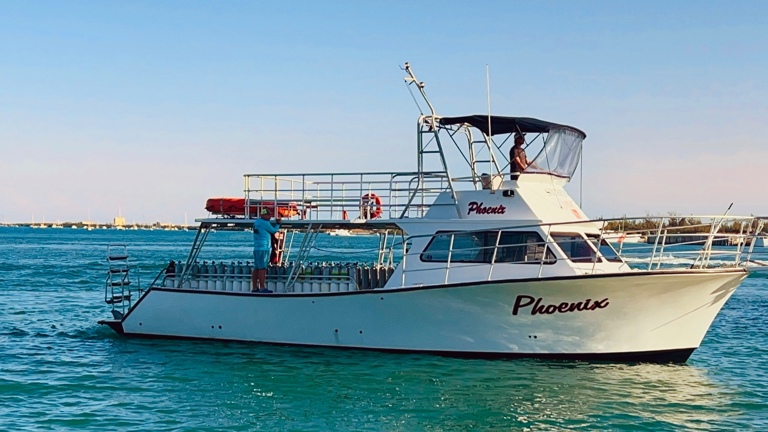 Scuba diving business