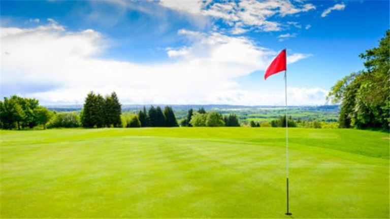 Rare Find Construction and remodeling Company