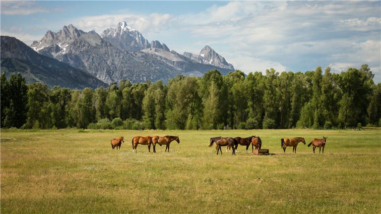 San Carlos, Costa Rica Ranch for Sale