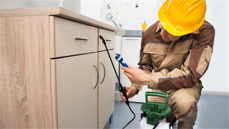 Extermination Biz Netting $191K- 10% down