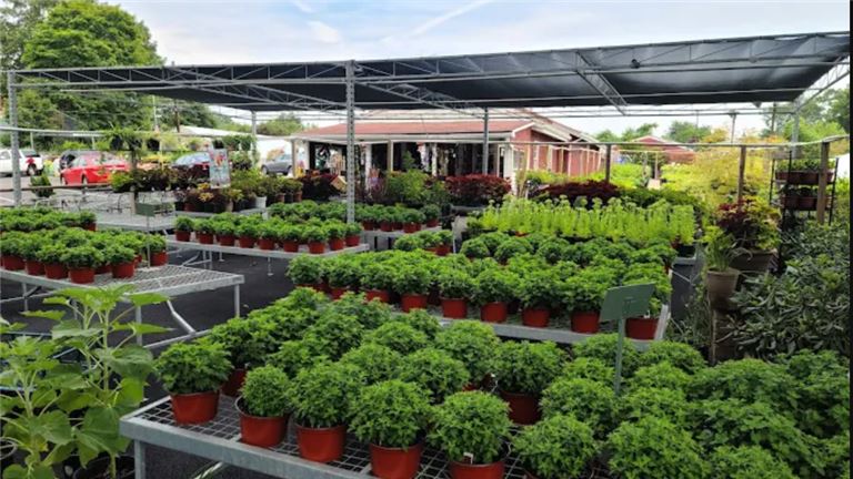 Garden Center, Landscaping and Snow removal business