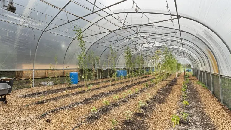 Dirty Dog Organic Farm