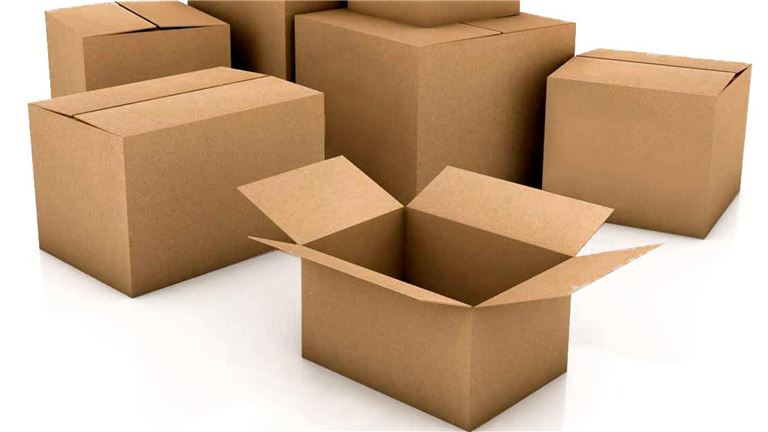 Last-Mile Delivery Business with Multi-Terminal Operations - Sister Co