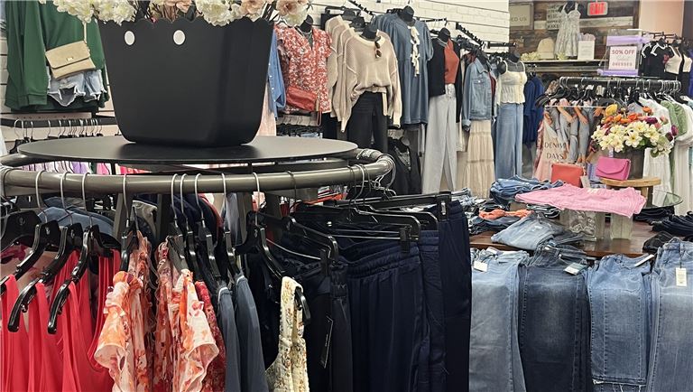 Profitable Woman's Apparel Brick and Online