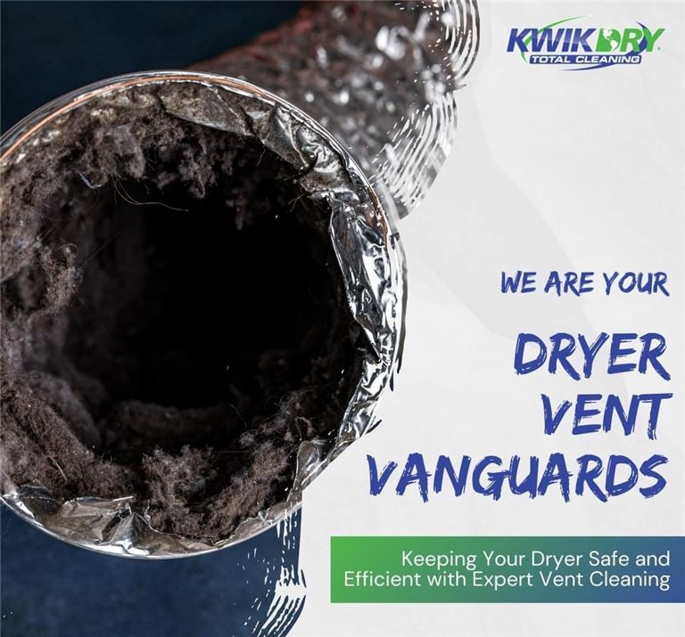 Own a Turnkey Cleaning Business - Profitable and Ready!