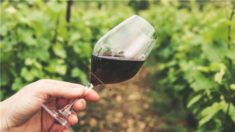 Turn-key Winery For Sale in the South Bay!