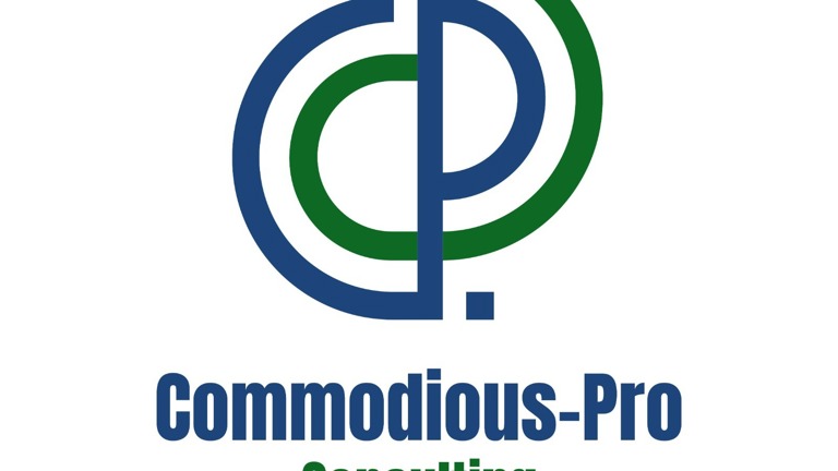 Versatile Consulting Business - Make It Your Own