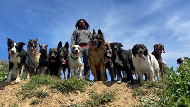 A day at the office with my colleagues 