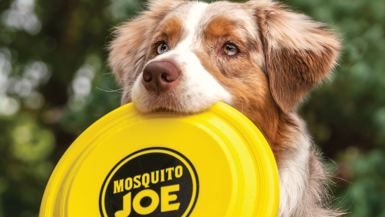 Growing Pest Control Biz with recurring and highly satisfied customers