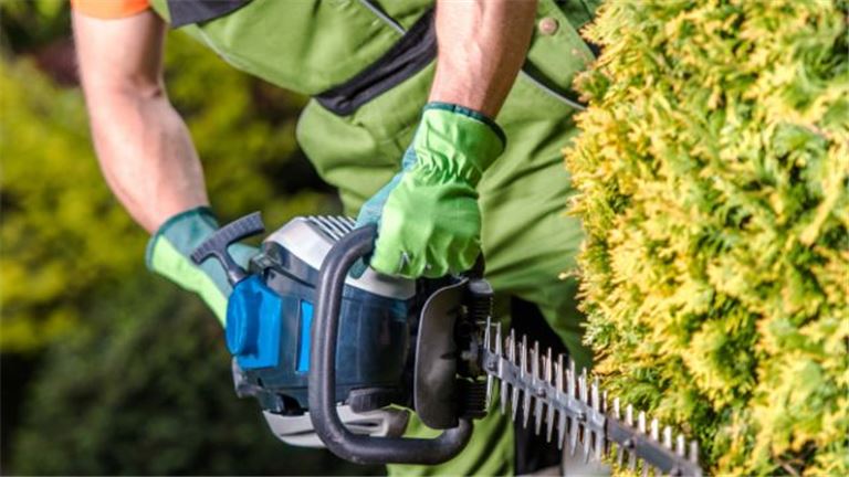 Rare Landscape Business - Specializes in Municipals & Hwy Care