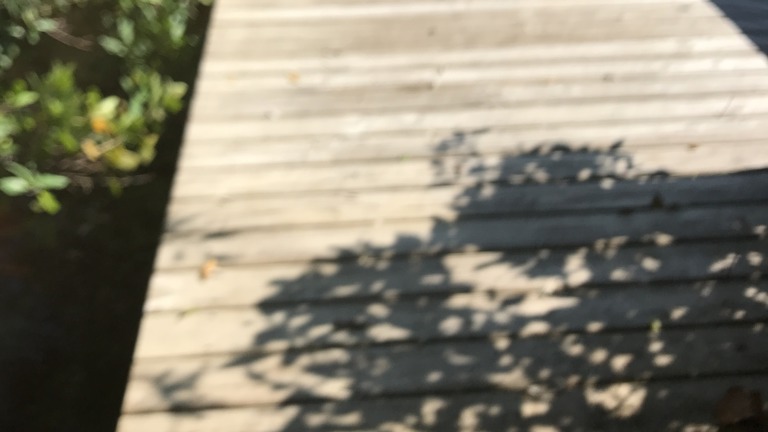 Dock Repair/Replacement