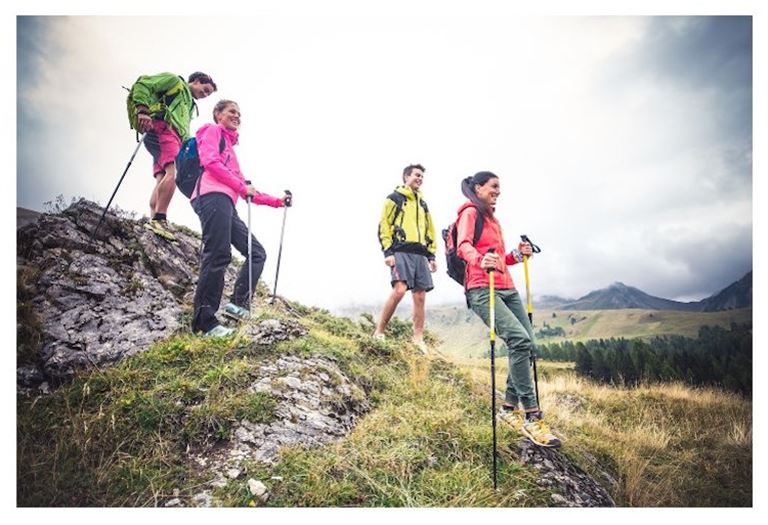 FULLY PERMITTED Tour Company in Southwest Colorado!