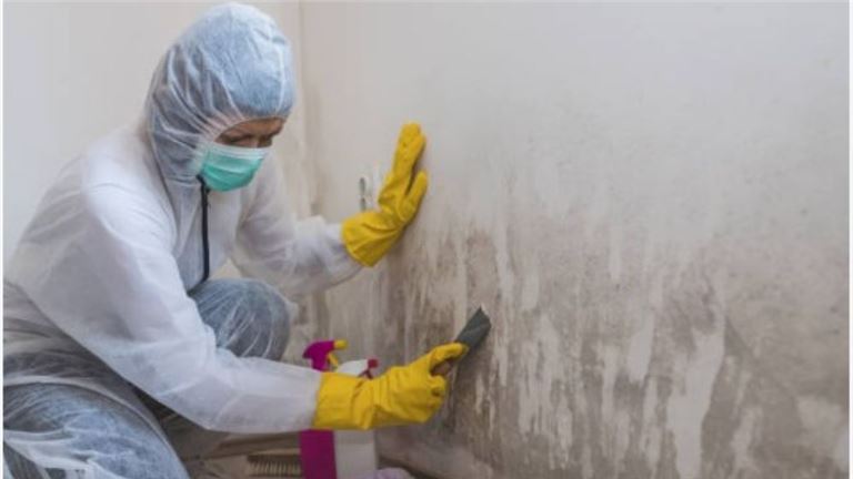 Drastic Price Reduction - Remediation Company TBH627