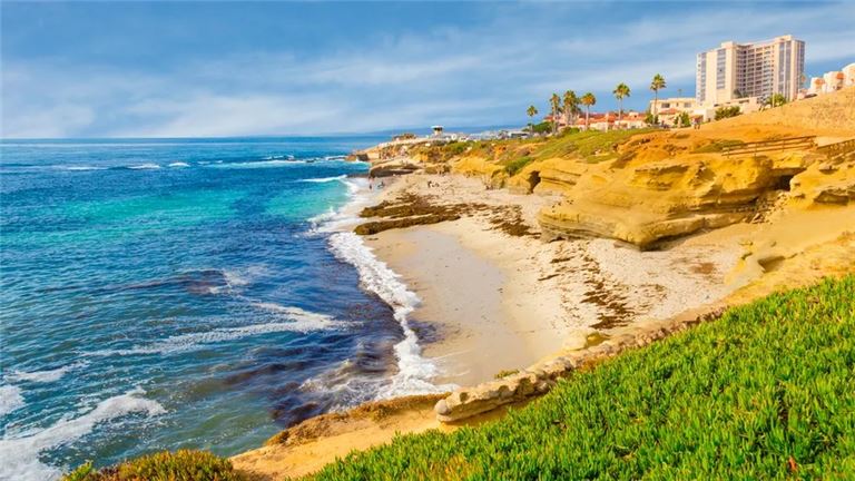 Chiropractic Practice for Sale in N. San Diego CA Area