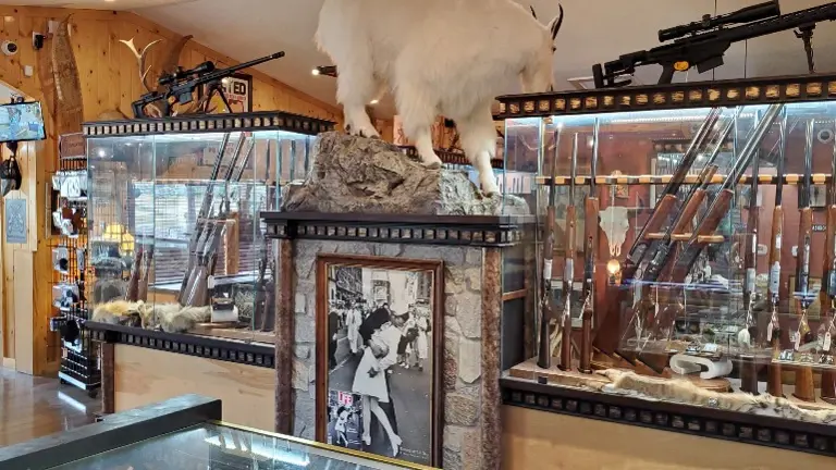 Jewelry and Gun Store in the Rocky Mountains. in Aspen Park, Colorado