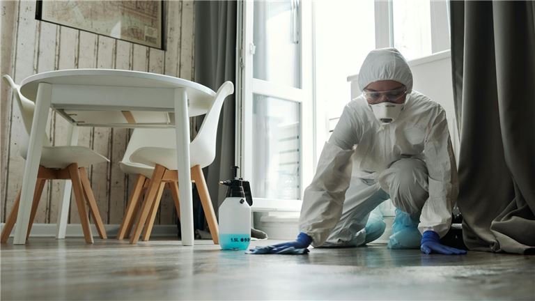 #1 Restoration Franchise – $290K SDE & Huge Growth Opportunity