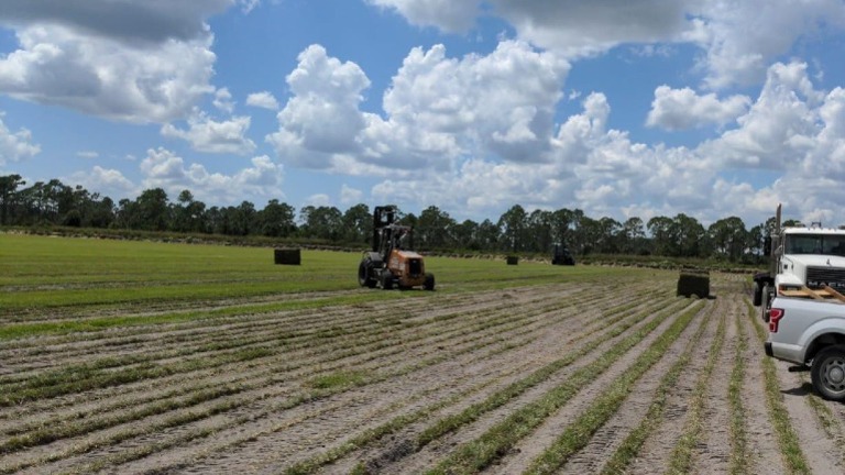 Sod on the move – simple operations, high demand nationwide