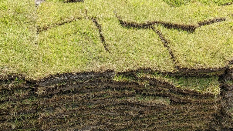 Farm-direct sod supply