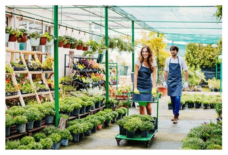 Garden Ctr in Ski Town - $100k in 6 Months! SKI All Winter!