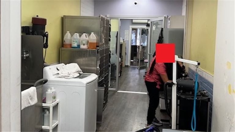 Established Luxury Pet Spa in New York County