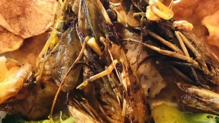 Profitable Pompano Beach Restaurant – $186K Net Profit