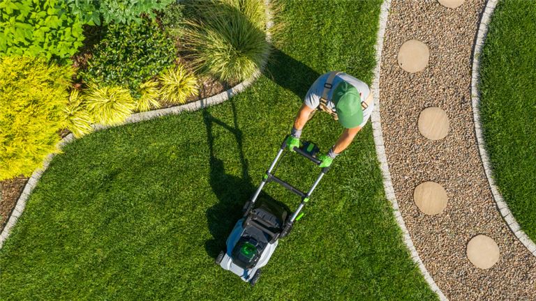 Well-Established Full-Service Landscaping and Irrigation Contractor