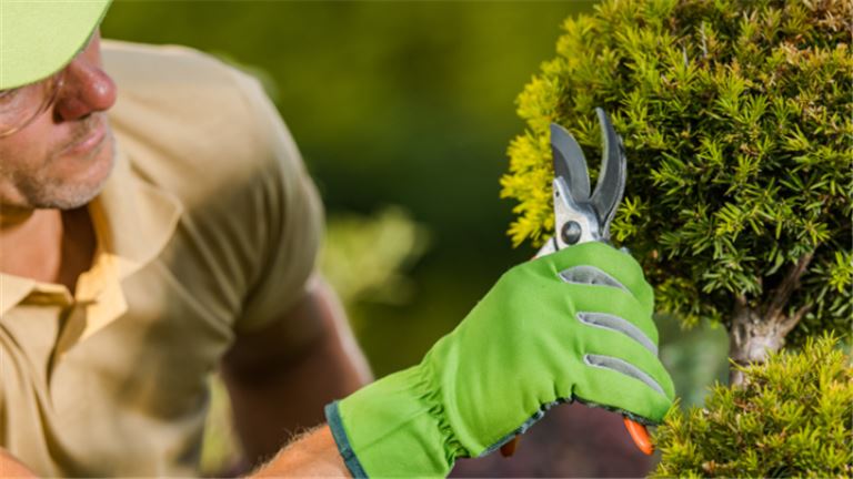 2 Indianapolis Area Plant Nurseries | Includes $4.2M in Land & FF&E