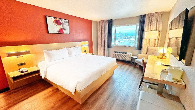 Standard Guestroom