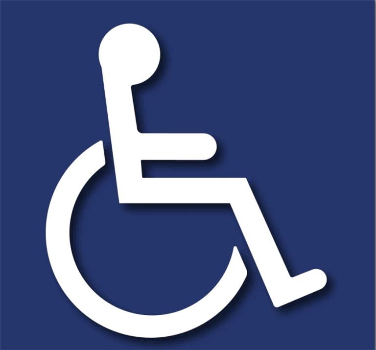 Profitable Accessibility Consulting Firm