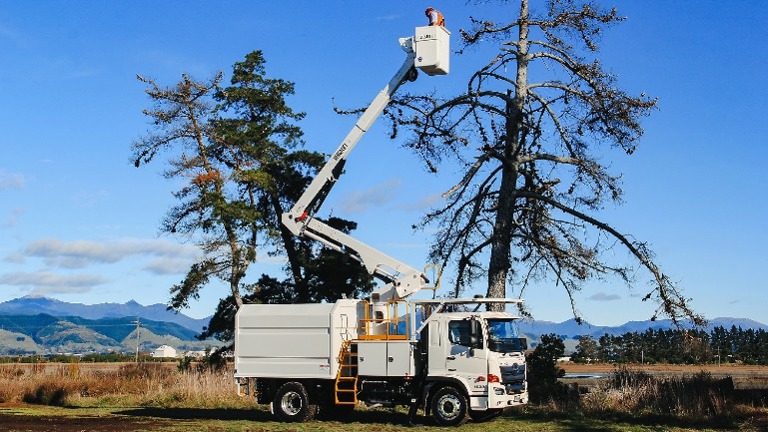Pending closing date:  Full Service Certified Arborist