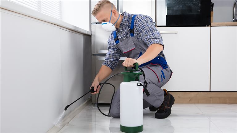 50 Year Pest Control Business For Sale Long Island NY