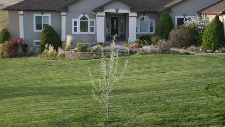 Established Turnkey Landscaping Business – Star, Idaho