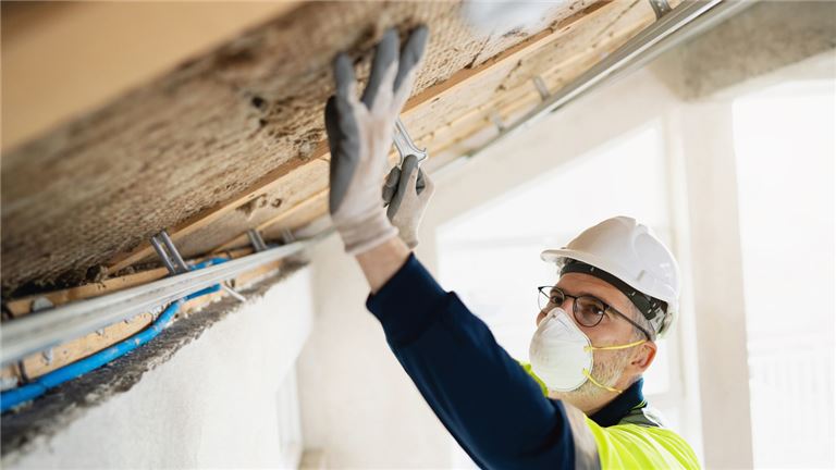 Established Service Franchise in CT & NY