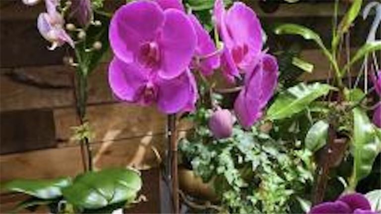 High-End Flower & Gift Shop for Sale in New Jersey