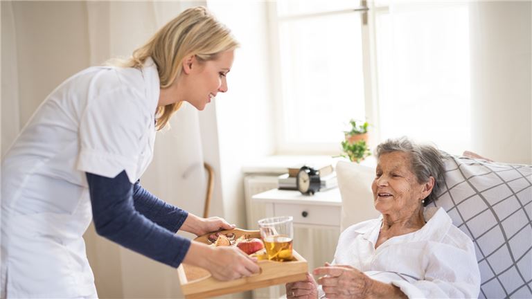 Licensed Home Health Agency Asset Sale | 7-County Coverage | $30K