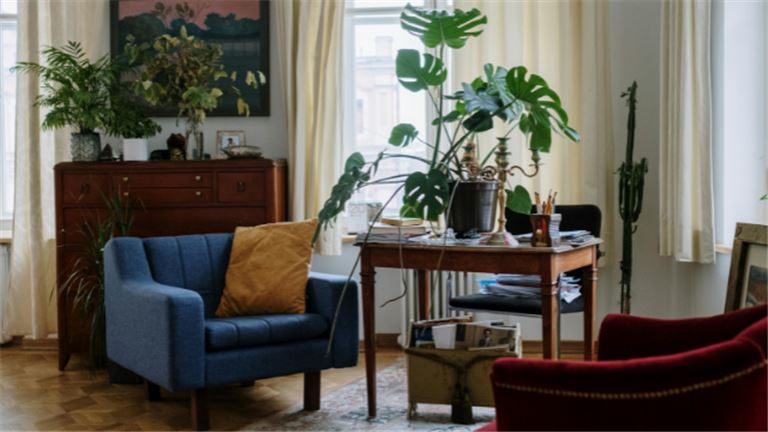 Multi-Brand eCom Company | Huge Home & Office SKU Array | 55% Amazon