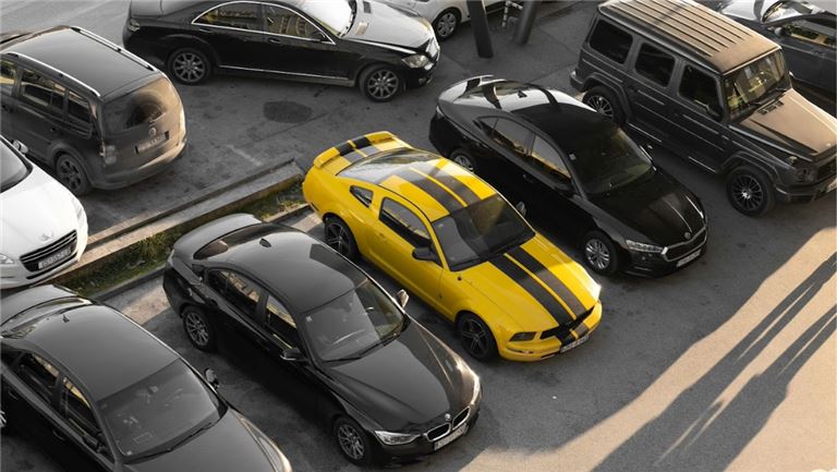 Thriving Auto Dealership in Livingston County, MI