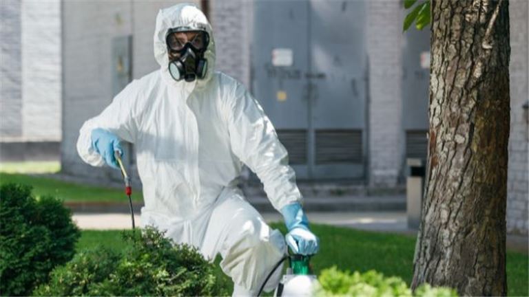 Established Pest Control Company – Osceola County