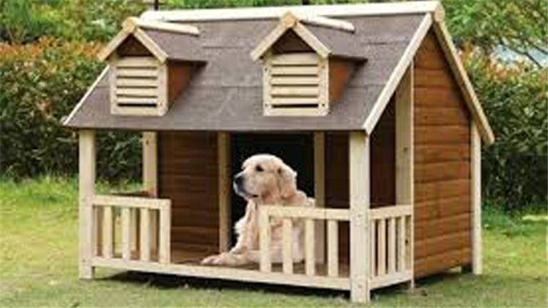 Lewisville Established Mobile Pet Grooming Business for Resale