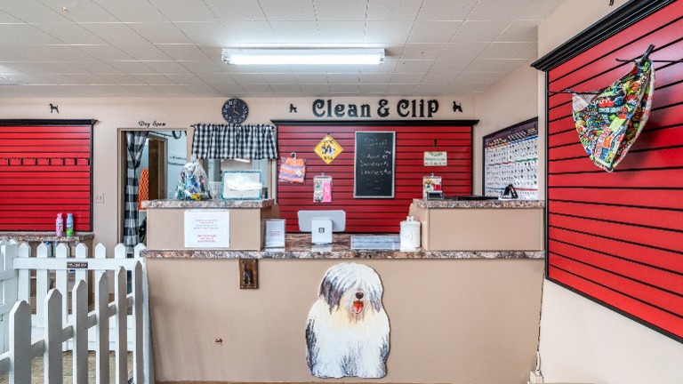 Front desk reception area, with fenced dog run to keep pets separated