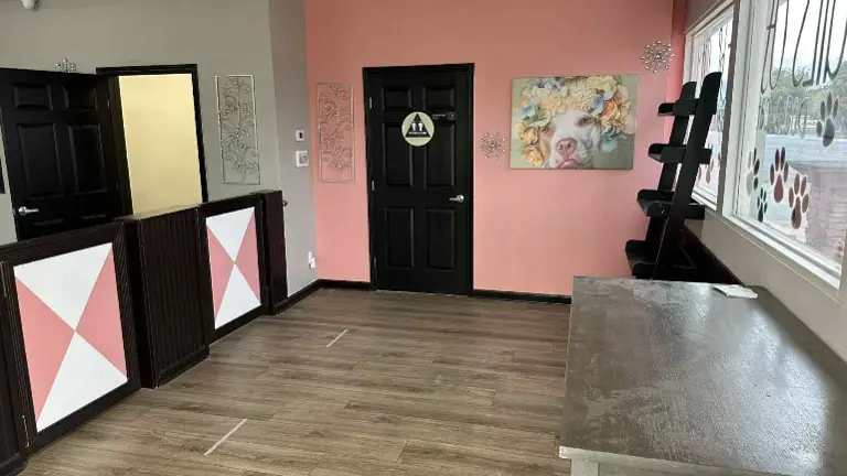 small entry lobby with gates for pet security