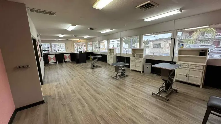 large front grooming area