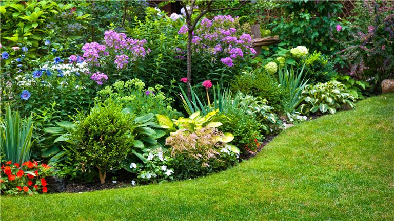 Landscaping Business For Sale in South Jersey