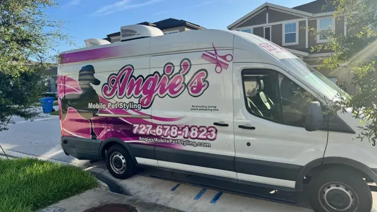 Franchise - Pet Grooming