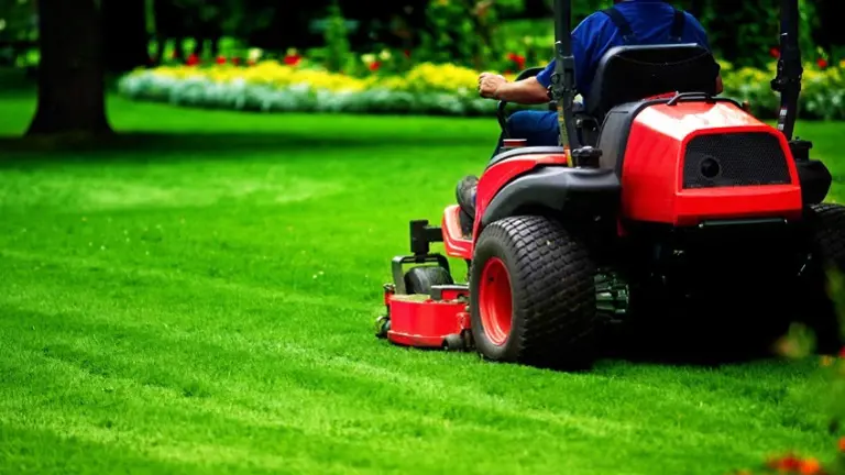 Business for Sale: Landscaping & Property Maintenance Business