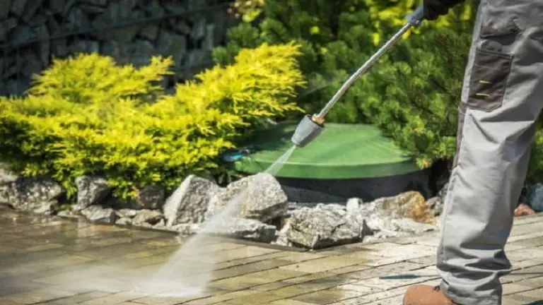 Profitable Soft Washing Company – Gainesville/Alachua Area