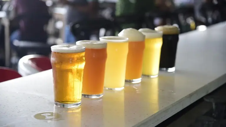 Over 20 brands included!