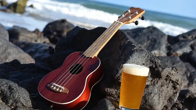 Costal Vibe Craft Brewery For Sale