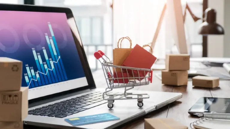 E-Commerce Business – Amazon & Multi-Channel Online Sales